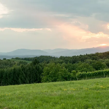 Hotel Bio Thermen Wilfinger