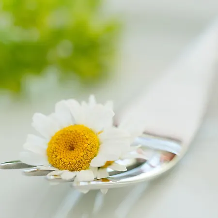 Bio Thermen Wilfinger