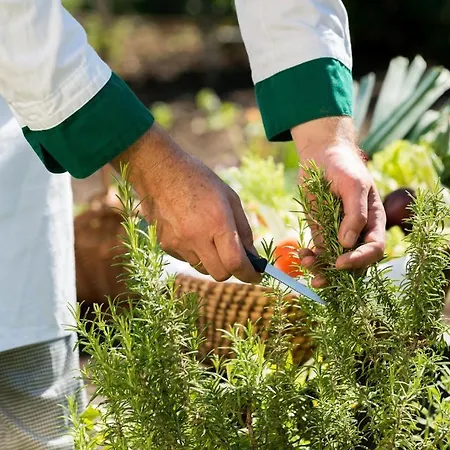 Bio Thermen Wilfinger 4*