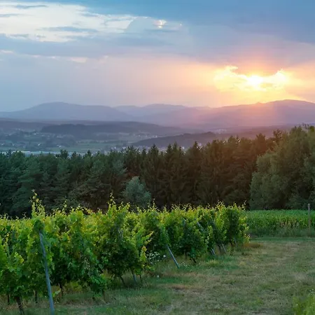 Bio Thermen Wilfinger 4* Bad Waltersdorf