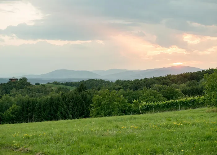 Hotel Bio Thermen Wilfinger