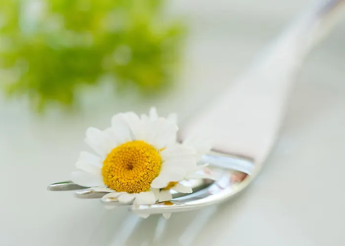 Bio Thermen Wilfinger