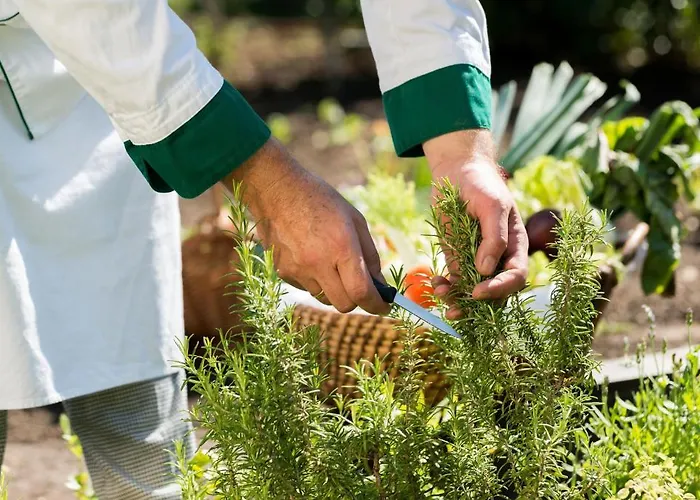 Bio Thermen Wilfinger 4*