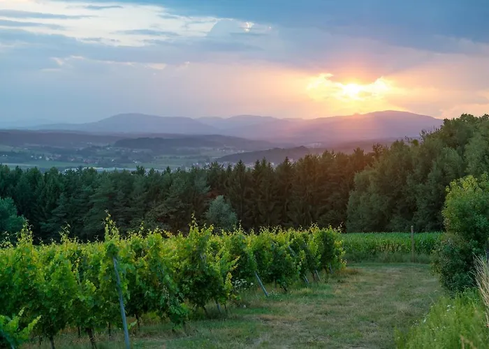 Bio Thermen Wilfinger 4* Bad Waltersdorf